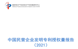 ​  中国民营企业发明专利授权量报告（2021）-国家知识产权局